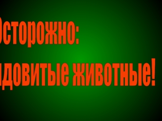 Осторожно:
ядовитые животные!