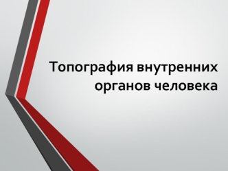 Топография внутренних органов человека