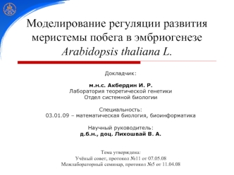 Моделирование регуляции развития меристемы побега в эмбриогенезе Arabidopsis thaliana L.