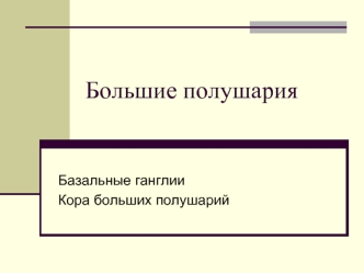 Большие полушария. Базальные ганглии. Кора больших полушарий