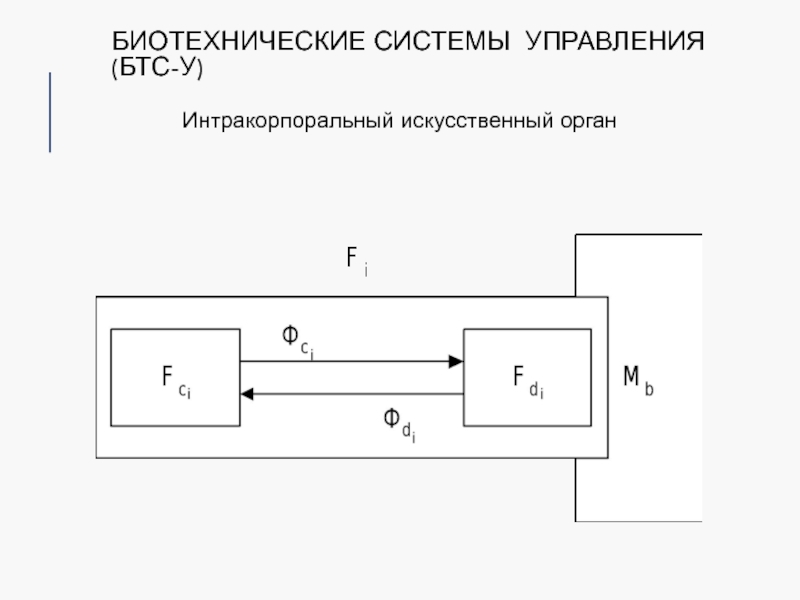 Схема биотехнической системы