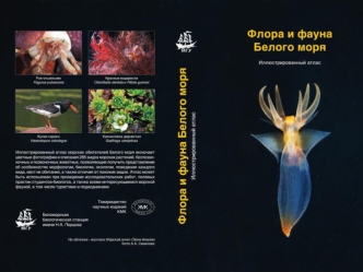 Атлас флоры и фауны Белого моря это коллективная монография, подготовленная большой группой специалистов. Книга дает возможность идентификации характерных.
