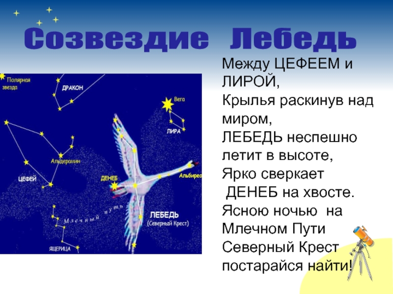 Созвездие осеннего неба рассказ. Созвездие лебедь Денеб. Созвездие лебедь самая яркая звезда. Созвездие лебедь Северный крест. Созвездие лебедь лебедь.