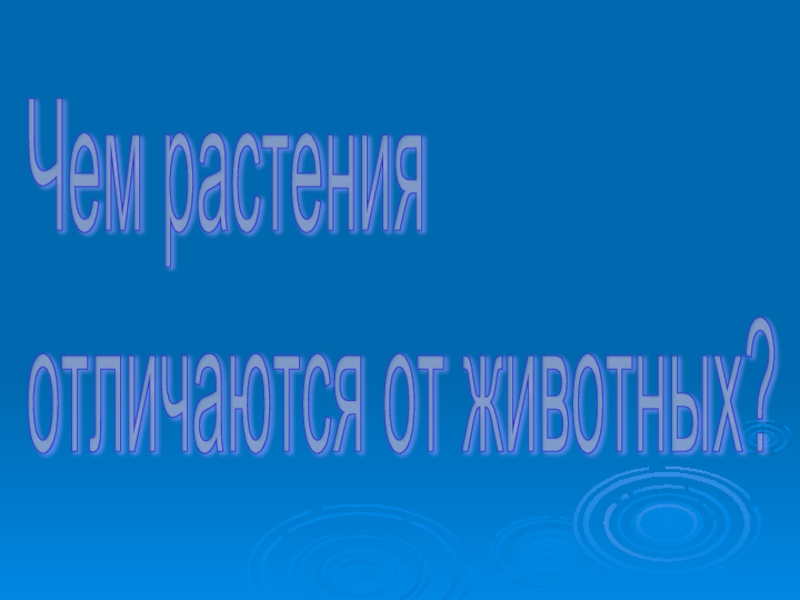 Картинка приятного просмотра для презентации