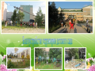 Для северных широт характерна длительная зима, короткое лето, сильные ветра. Саженцы плохо приживаются, дают маленький и медленный прирост. Все это не.