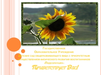 Государственное Образовательное УчреждениеДетский сад общеразвивающего вида с приоритетным осуществлением физического развития воспитанников Подсолнушек Приветствует Вас!