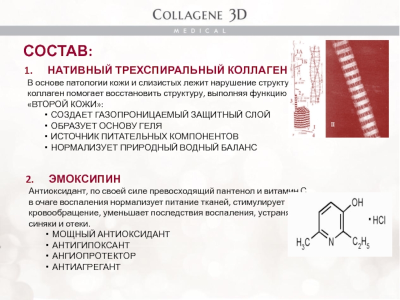 Состав коллагена. Нативный трехспиральный коллаген. Трехспиральная структура коллагена. Нарушение структуры коллагена.