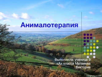 Анималотерапия