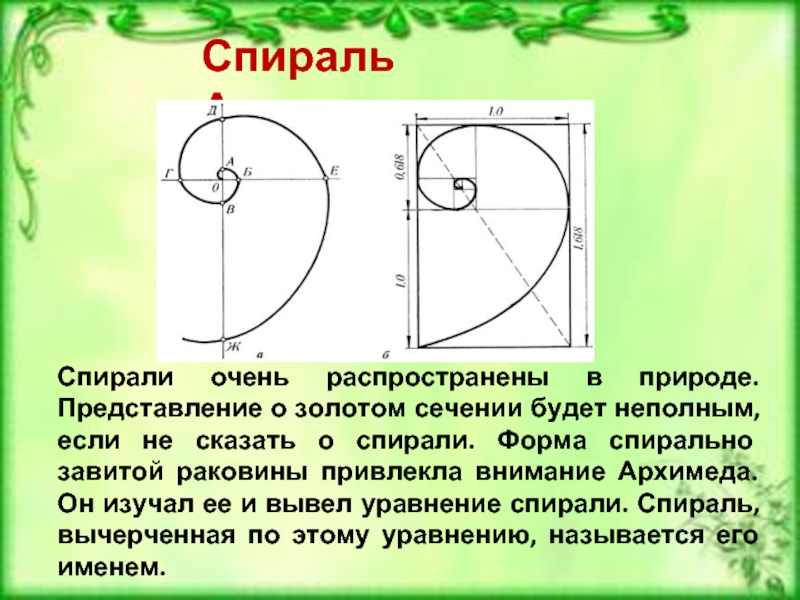 Спираль архимеда. Спираль Архимеда золотое сечение. Спиралевидная форма занятий.