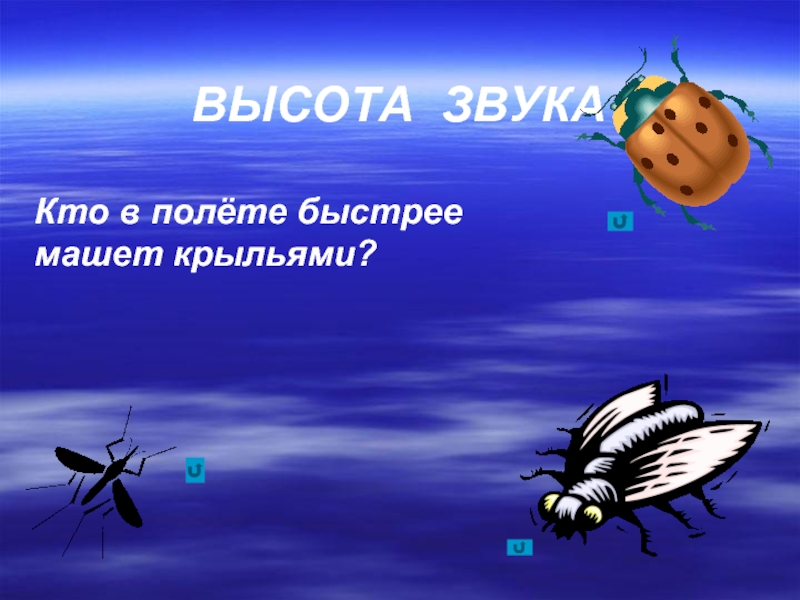 Летать быстрее звука