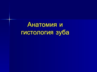 Анатомия и гистология зуба