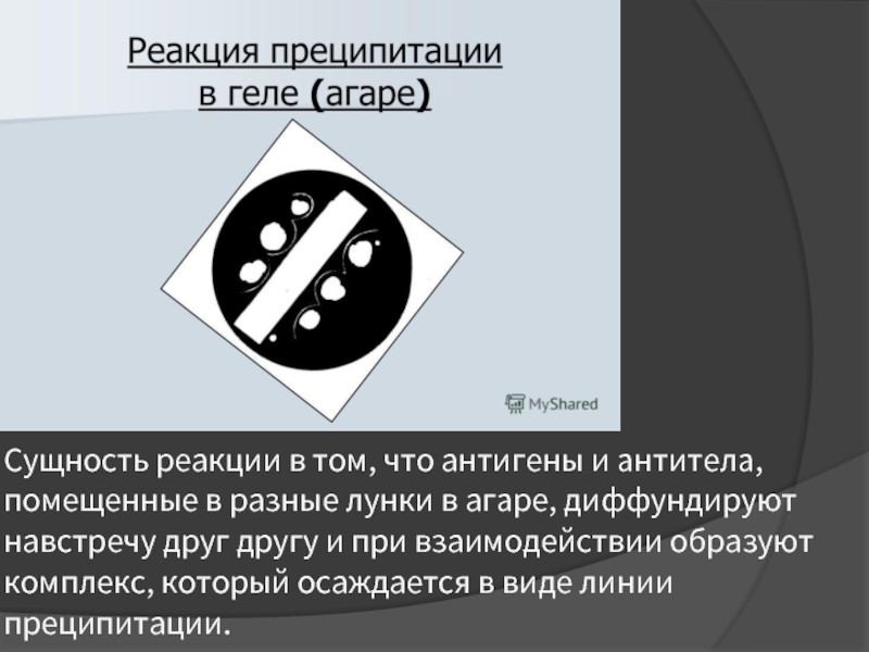 Серологические реакции рисунки