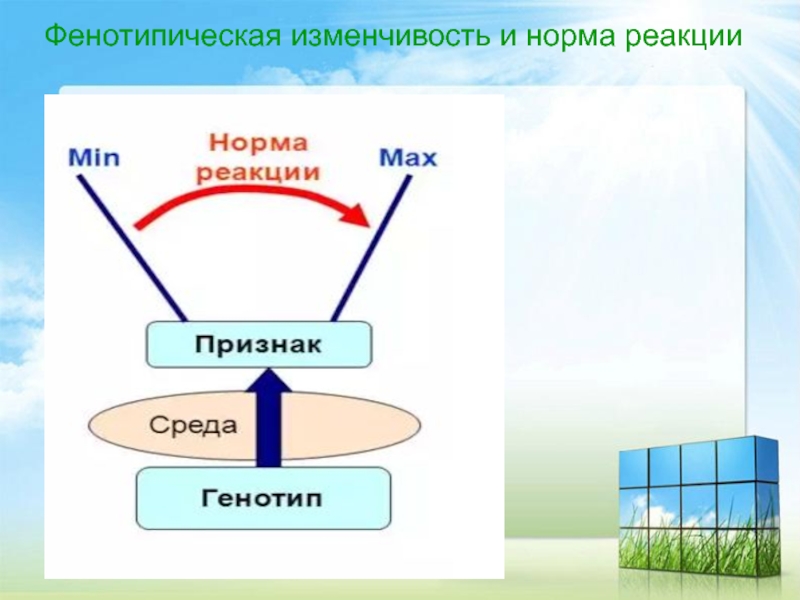 Узкие и широкие реакции примеры