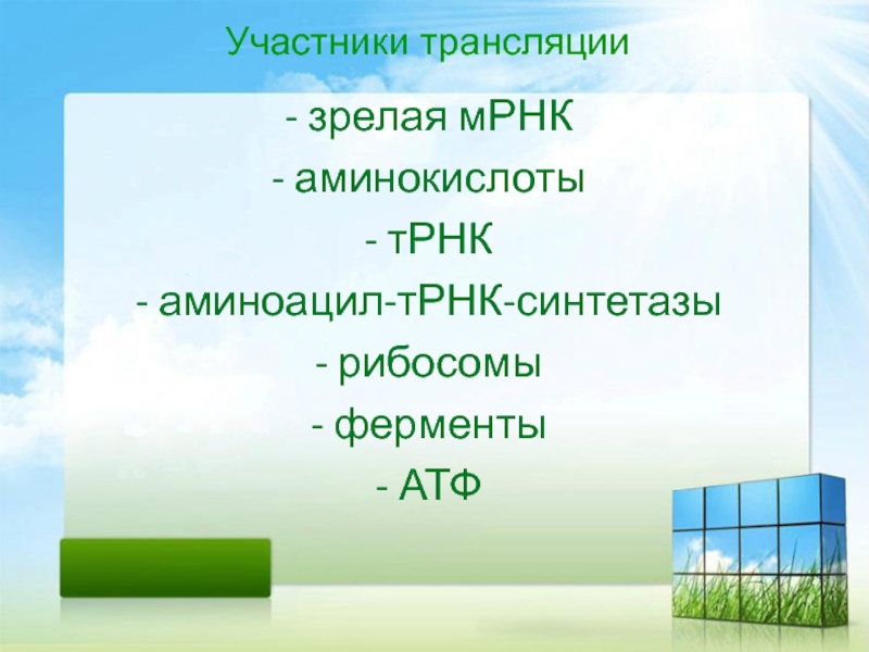 Участвует в трансляции. Участники трансляции. Участники процесса трансляции. Участники трансляции картинки.