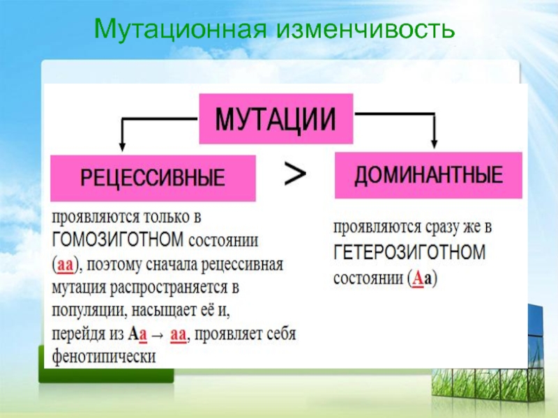 1 мутационная изменчивость. Мутационная изменчивость. Виды мутационной изменчивости. Источники мутационной изменчивости. Значение мутационной изменчивости.