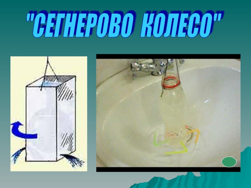 Сегнерово колесо презентация