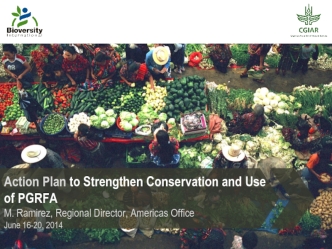 Action Plan to Strengthen Conservation and Use of PGRFA
M. Ramirez, Regional Director, Americas Office
June 16-20, 2014