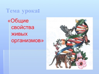 Тема урока: