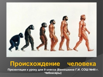 Происхождение    человека
Презентация к уроку для 9 класса (Ванюшкина Г.И. СОШ №48 г. Чебоксары)