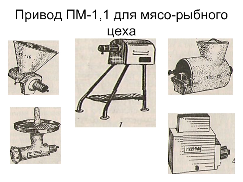 Схема мясо рыбного цеха