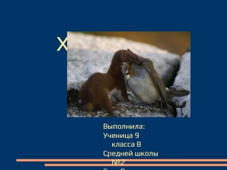 Подготовила: Науменко А.,
		    уч-ся 11 В класса
		    школы № 13 ,
	   лаборант СПИ