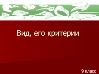 Вид, его критерии