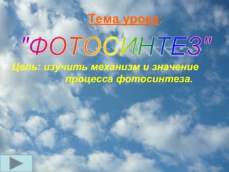 Фотосинтез. Место протекания процесса фотосинтеза