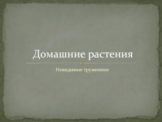 Домашние растения