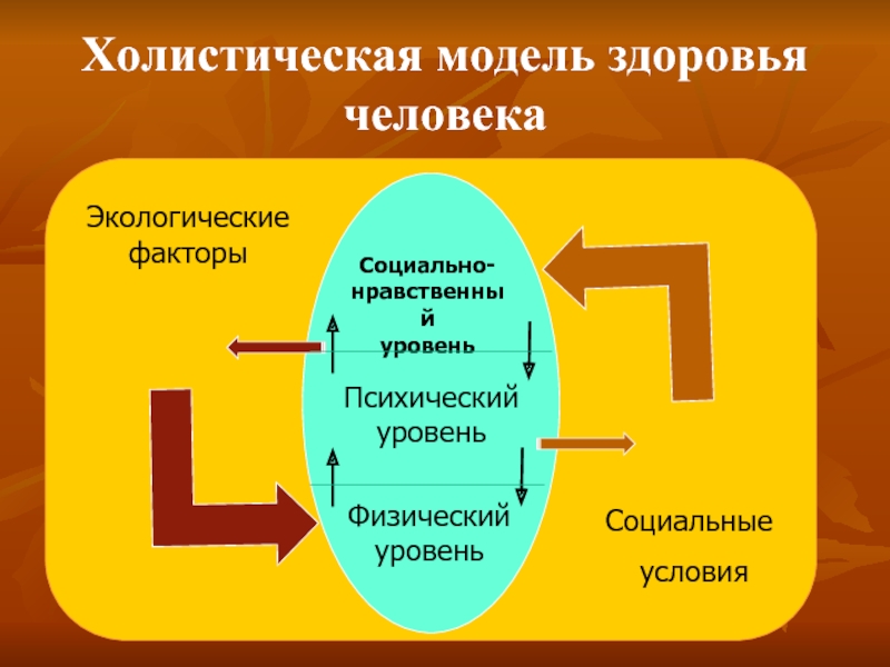 Модели здоровья