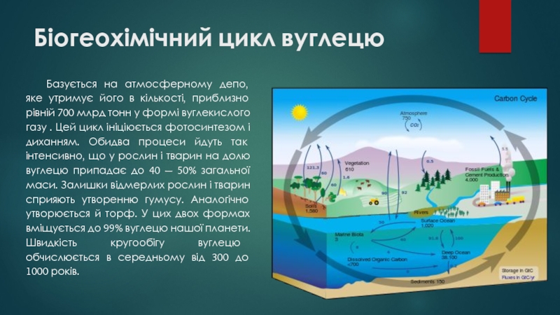 Контрольная работа: Біогеохімічні цикли структура загальна характеристика цикли вуглецю азоту кисню сірки