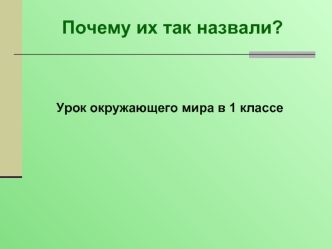 Почему их так назвали?