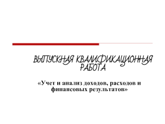 ВЫПУСКНАЯ КВАЛИФИКАЦИОННАЯ РАБОТА