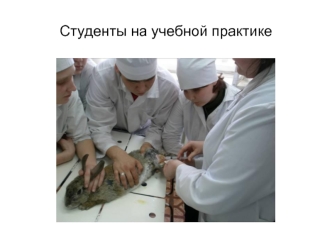 Студенты на учебной практике