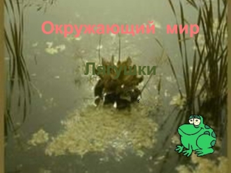 Окружающий  мир

Лягушки
