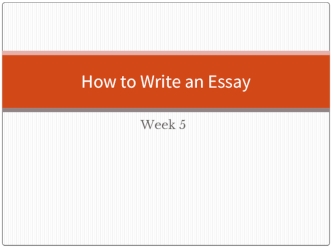 How to write an essay