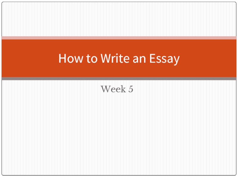 Реферат: Making A Web Page Essay Research Paper