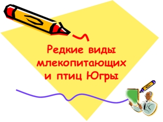 Редкие виды млекопитающих и птиц Югры