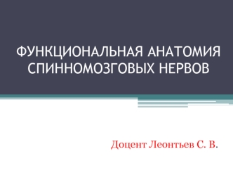 Функциональная анатомия спинномозговых нервов