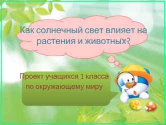 Как солнечный свет влияет на растения и животных?