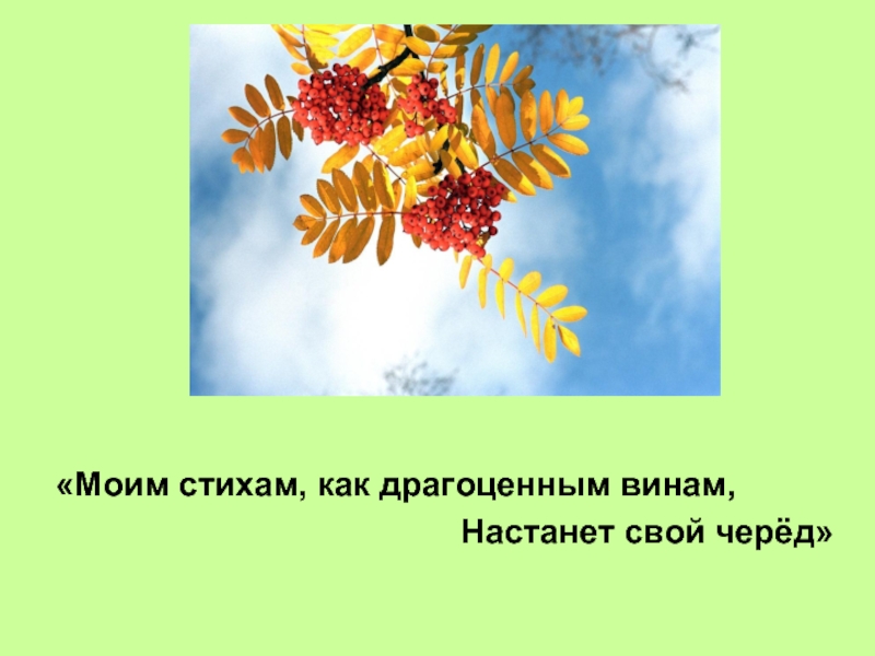 Взгляни на человека всему свой черед 1 класс презентация окружающий мир