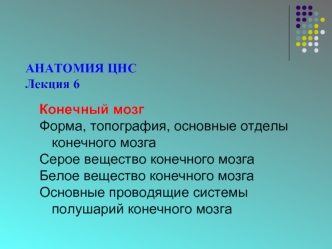 Конечный мозг. Анатомия