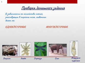 Проверка домашнего задания