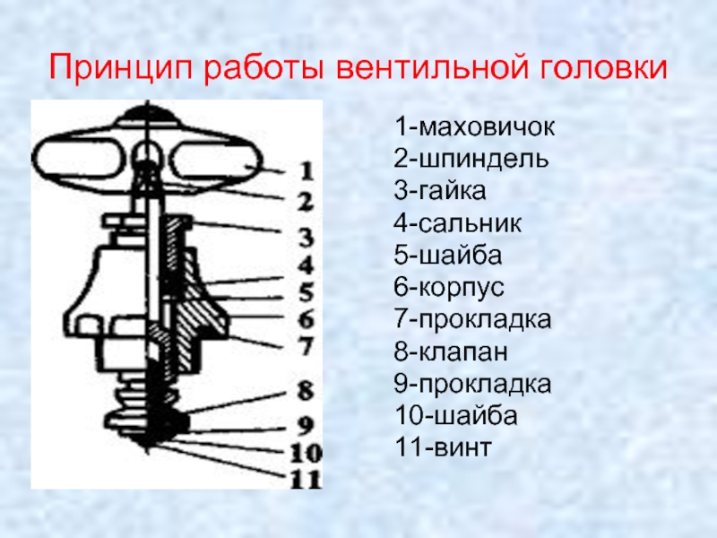 Как работает кран. Устройство вентильной головки крана. Элементы устройства вентильного крана. Устройство крана вентиля. Схема устройства вентильного крана.