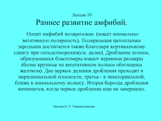 Лекция 10Раннее развитие амфибий. Ооцит амфибий поляризован (имеет анимально-вегативную полярность). Поляризация цитоплазмы зародыша достигается также благодаря кортикальному сдвигу при оплодотворении(см. далее). Дробление полное, образующиеся бластомеры 