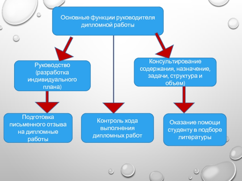 Директор проекта и руководитель проекта