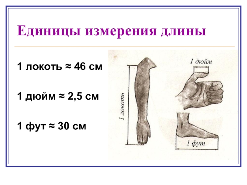 Дюйм картинка для детей