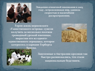 Завезенные в Австралию кролики так быстро размножались, что стали национальным бедствием. Герои жюль-верновского Таинственного острова сумели получить.