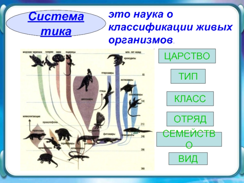 Классификация живых организмов 5 класс биология презентация