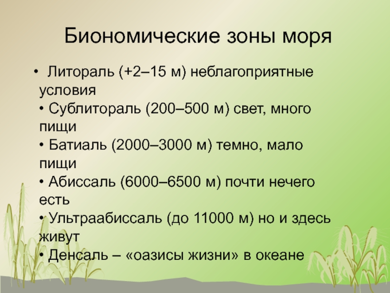 Зона моря. Биономические зоны моря. Абиссаль и ультраабиссаль. Биономические зоны мирового океана. Батиальная зона.