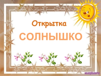 СОЛНЫШКО